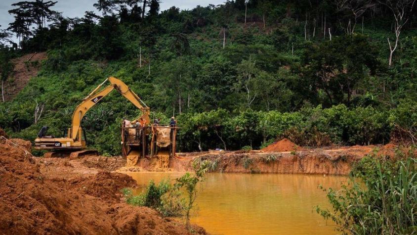 District managers lament that political meddling is causing galamsey in forest reserves.