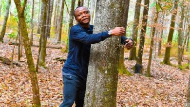 According to Guinness World Records, a Ghanaian activist sets a record by hugging over 1,100 trees in one hour.