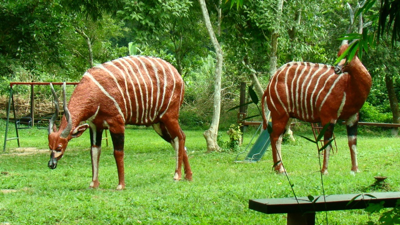 Kakum National Park