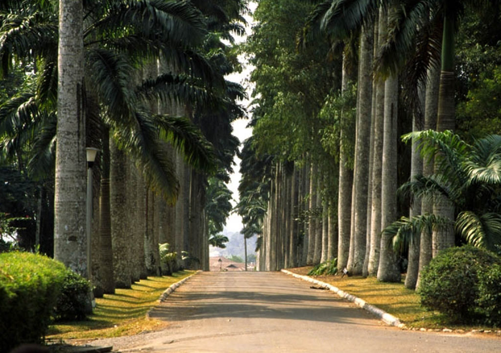 Aburi Botanical Gardens