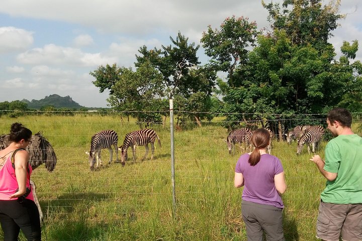 Accra Zoo